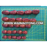 Chinese red dates/jujube