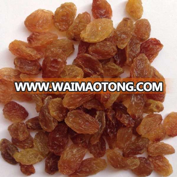 Sundried Raisins Dried Grapes Golden