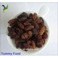 China red raisins dried fruit, dried green raisins xinjiang raisin