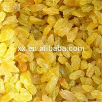 Best Quality Fruit Products Dried Golden Sweet Raisin