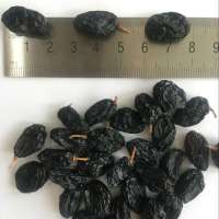 Wholesale Xinjiang Dry Black Raisin