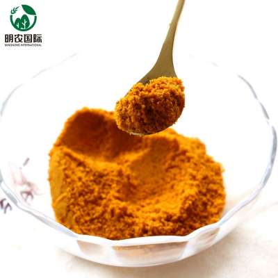 Xinjiang hot sale Dried frozen sea buckthorn powder for sale