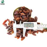 Xinjiang original raisin price red raisin for hot sale