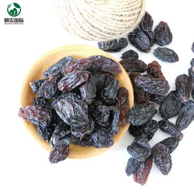 sultana raisin xinjiang black raisin for backing using