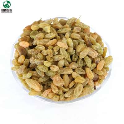 Xinjiang  Chinese grape green grape raisins for sale