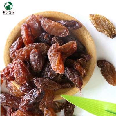 Dried fruit xinjiang specialty sultana red raisin prices